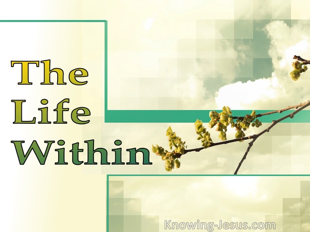 The Life Within (devotional)11-17 (sage)
